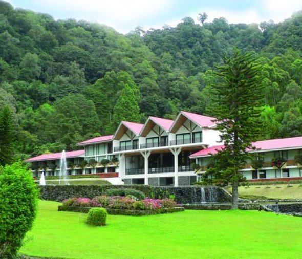 otros servicios bambito